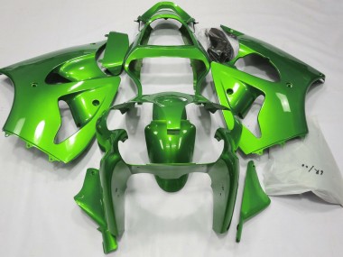 00-02 Metallic Grün ZX6R Verkleidung
