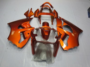 00-02 Orange ZX6R Verkleidung