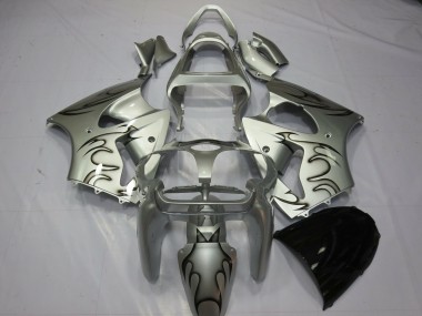 00-02 Silber Flamme ZX6R Verkleidung