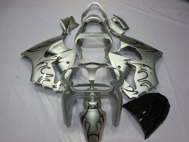 00-02 Silber Flamme ZX6R Verkleidung