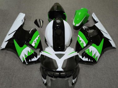02-05 Grüner Hai ZX12R Verkleidung