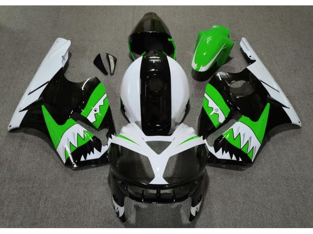 02-05 Grüner Hai ZX12R Verkleidung