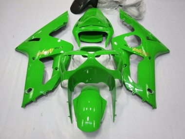 03-04 Grüner Ninja ZX6R Verkleidung