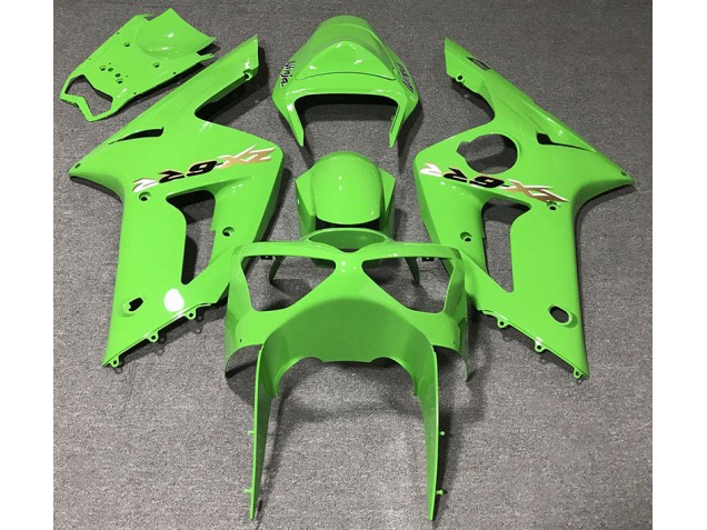03-04 Hellgrün ZX6R Verkleidung