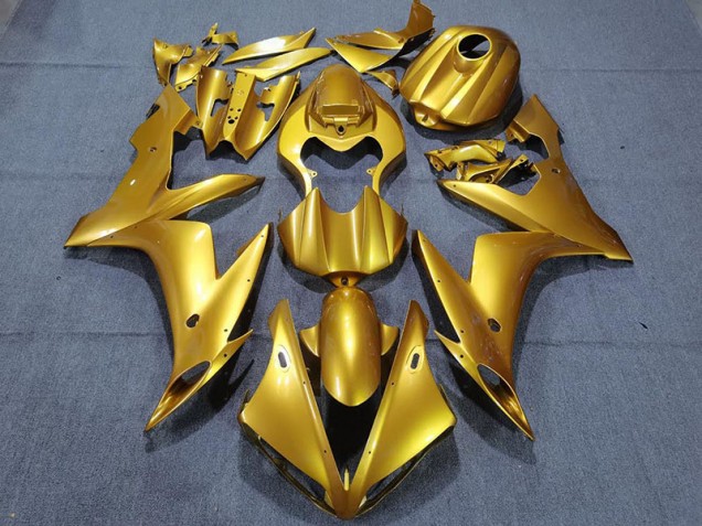 04-06 Gold R1 Verkleidung