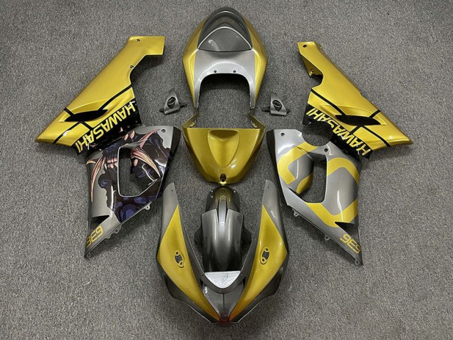 05-06 Gold & Silber ZX6R Verkleidung