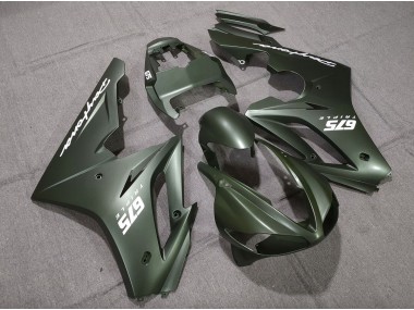 09-12 Matt Grün Weiß Daytona 675 Verkleidung