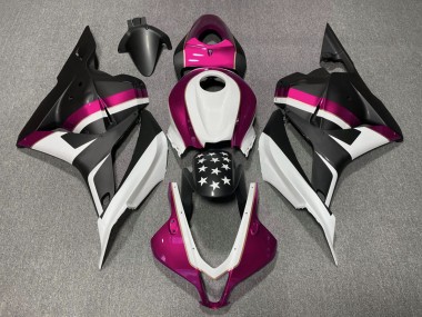 09-12 Matt Schwarzer & Rosa Stern CBR600RR Verkleidung