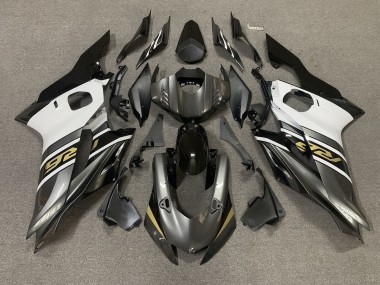 17-21 Rotgussgrau & Gold R6 Verkleidung