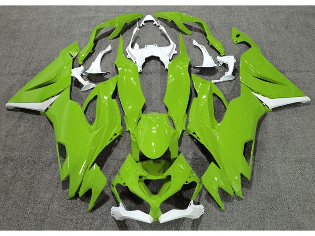 19-23 Glänzend Grün & Weiß ZX6R Verkleidung