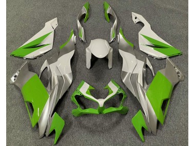 19-23 Grün-Weiß & Silber ZX6R Verkleidung