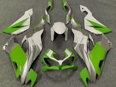 19-23 Grün-Weiß & Silber ZX6R Verkleidung